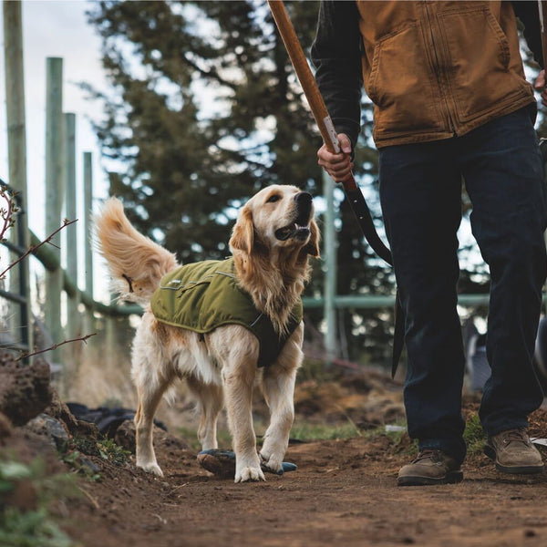 A human and dog frolick on the farm in new FW26 Apparel