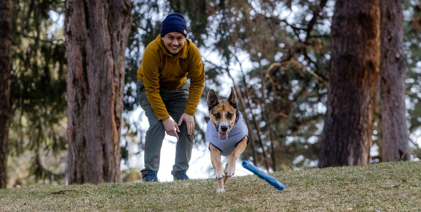 A man throws a Gnawt-a-Stick™ toy for his dog who chases after it. 