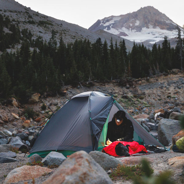A dog camping with their owner in a rocky field with Mt. Hood in the background