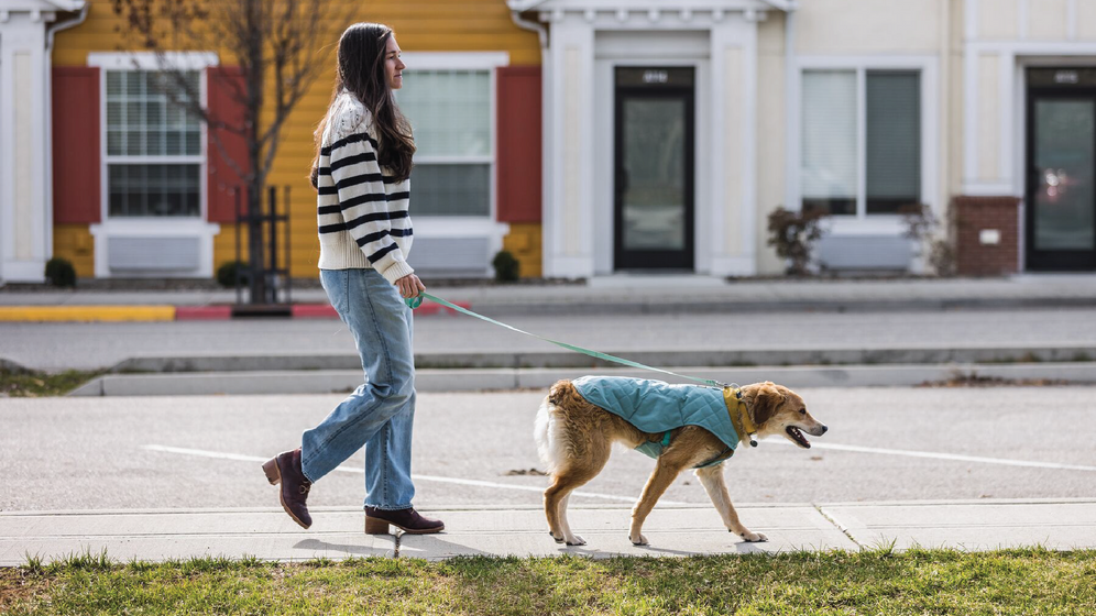 About: The Stumptown™ Video Thumbnail