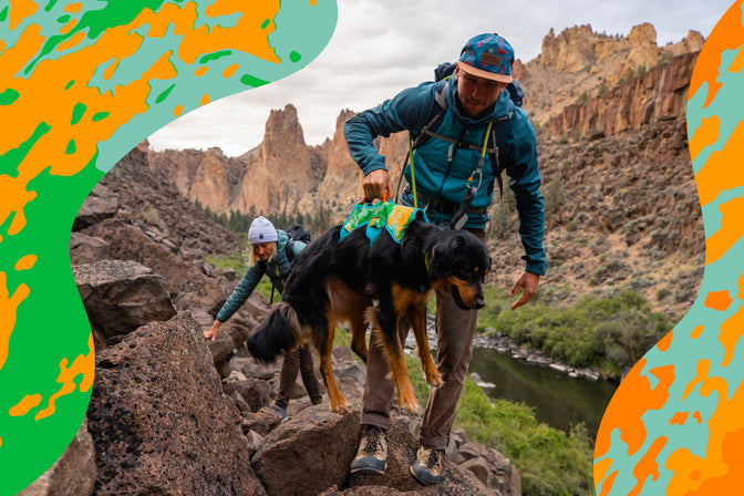 Man lifts dog up over rocks using web master in meadow stream print.