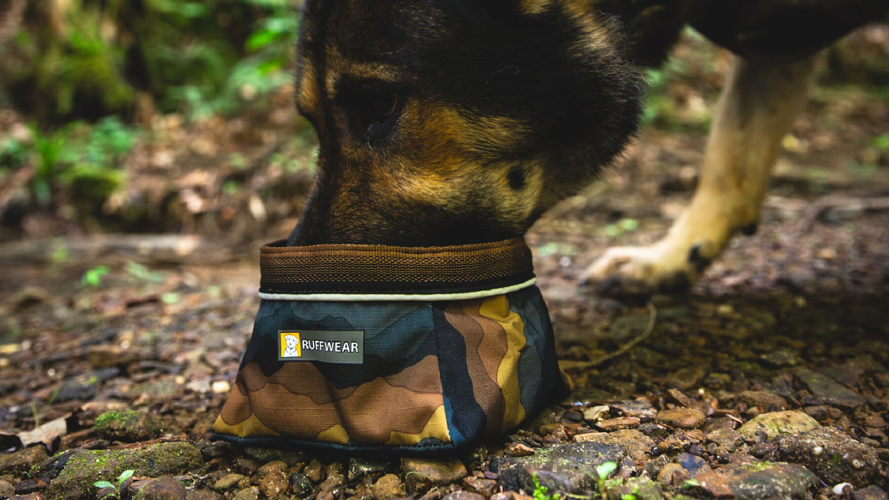 Durable Shell