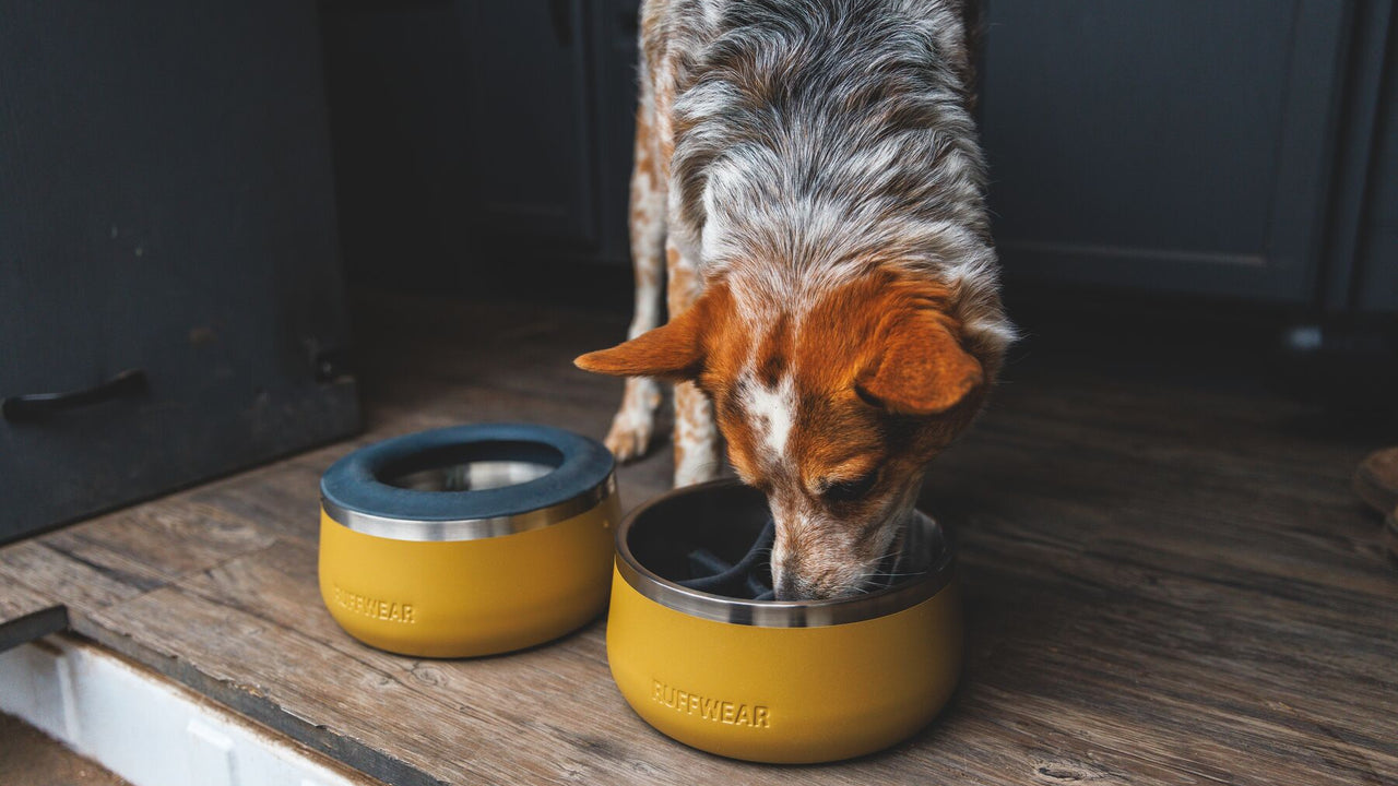 Bowl Accessory