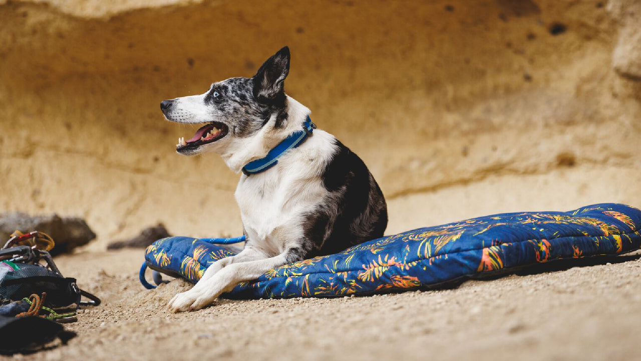 Durable Webbing