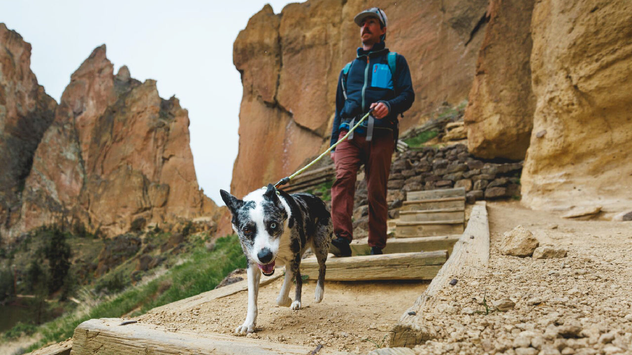Confident Connection