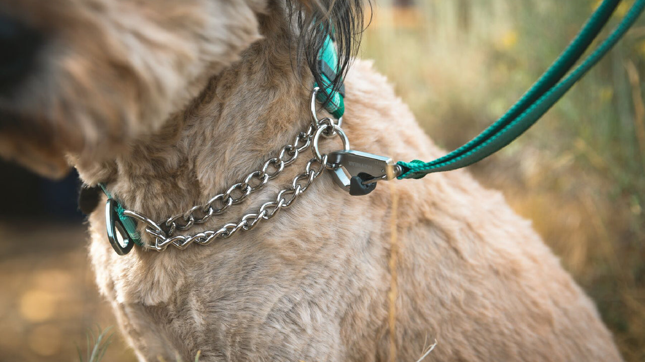 Martingale Design