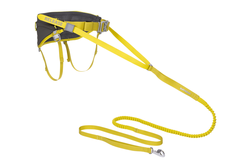 Omnijore System Lichen Green
