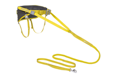 Omnijore System Lichen Green