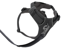 Front Range® Dog H