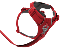 Front Range® Dog H