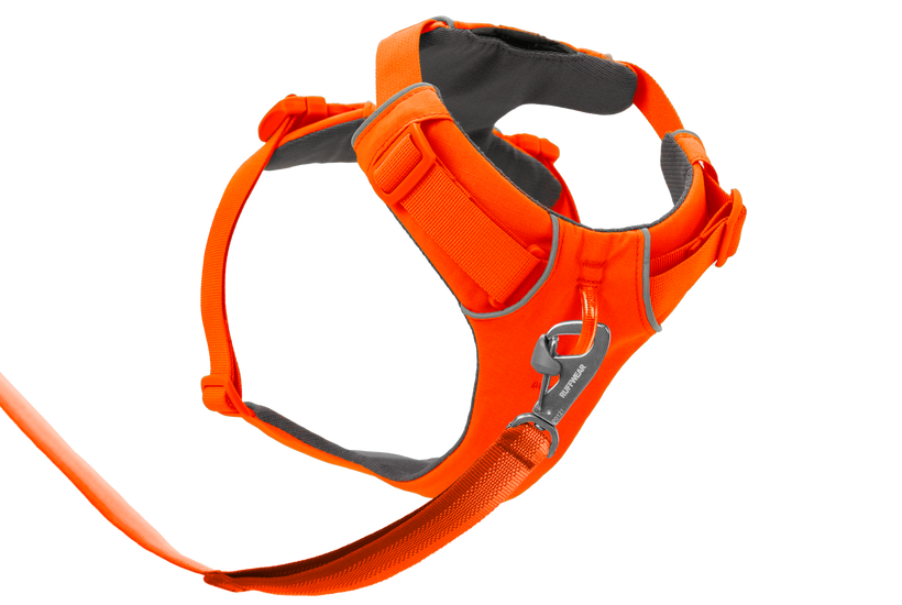 Blaze Orange