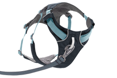 Basalt Gray