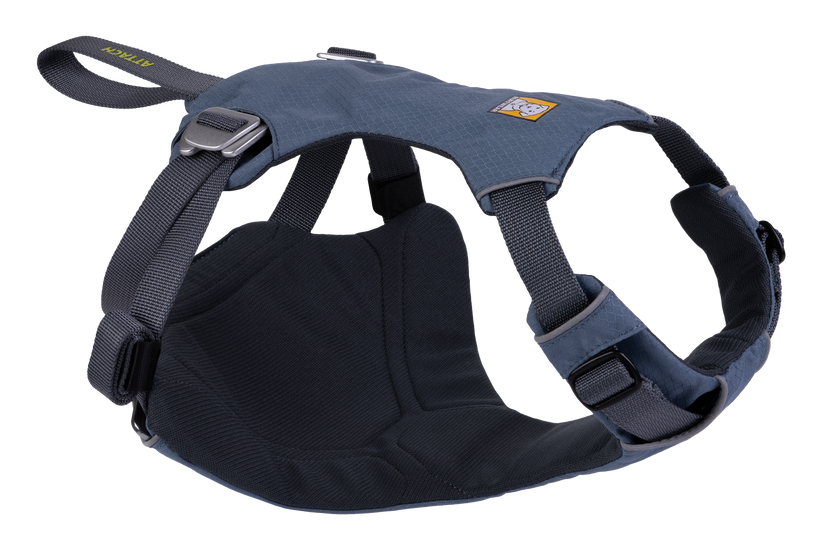 Load Up Harness Slate Blue