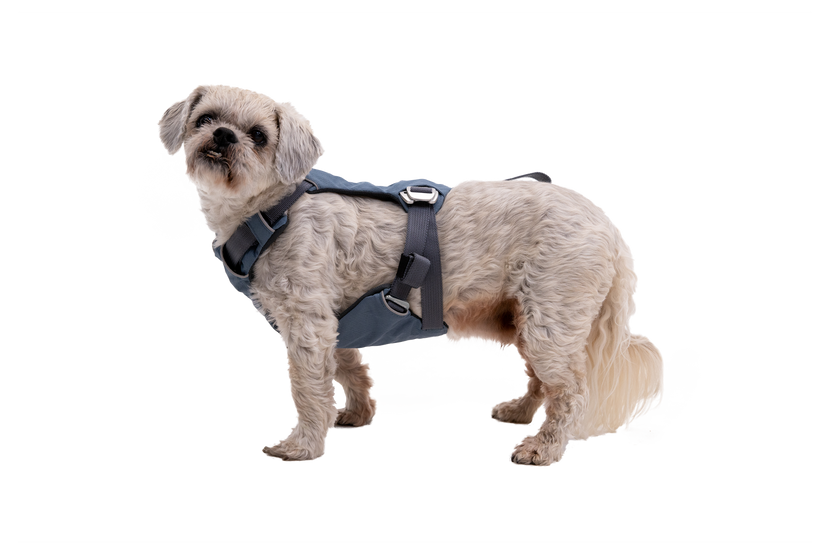 Load Up™ Dog Car H