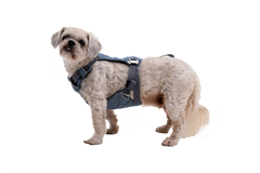 Load Up™ Dog Car H