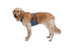 Load Up dog car harness Slate Blue