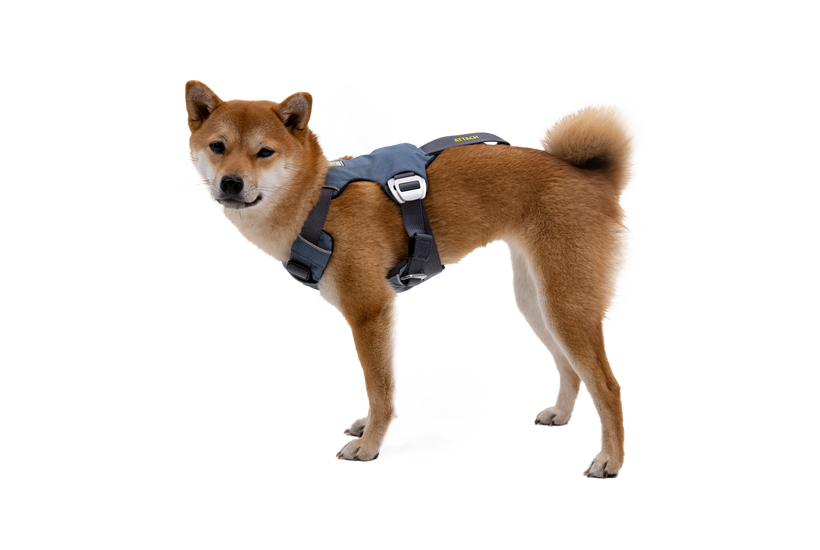 Load Up Harness Side View Slate Blue