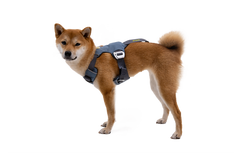 Load Up Harness Side View Slate Blue