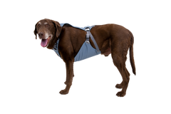 Load Up™ Dog Car H