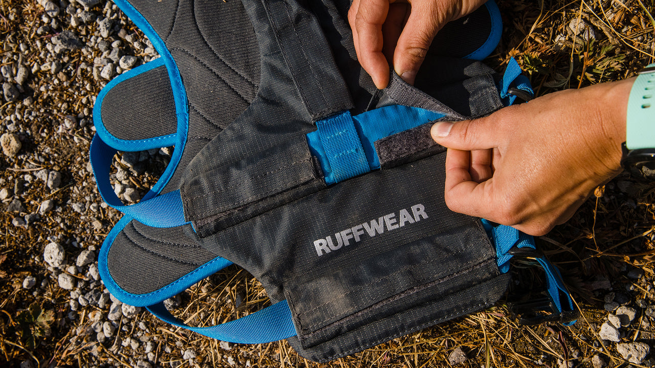 Add on to Harnesses & Packs