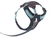 Basalt Gray