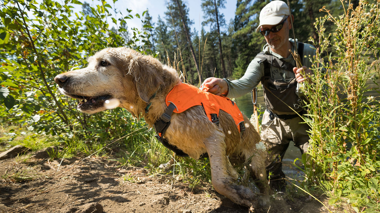 Add on to Harnesses & Packs