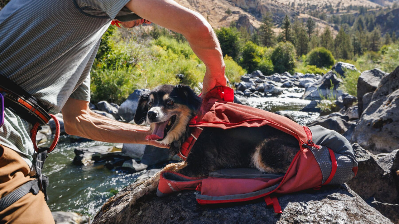 Integrated Adjustable Harness