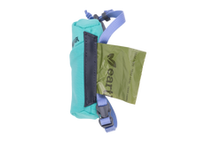 Aurora Teal
