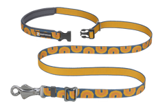 Canyon Oxbow
