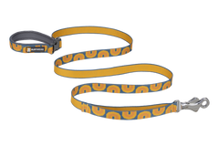 Canyon Oxbow