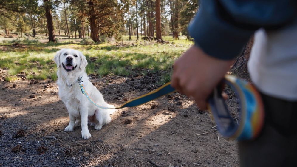 About: The Crag™ Leash Video Thumbnail