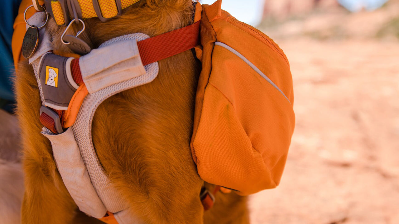 Stable Gear Carry