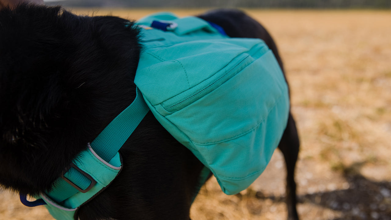 Stable Gear Carry