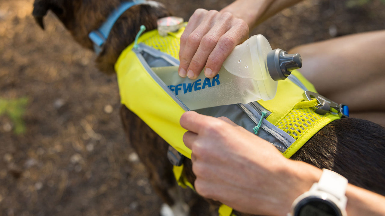 Carry Hydration & Essentials