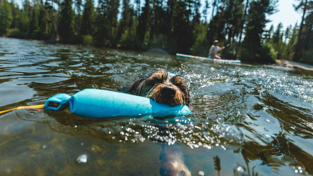 Excellent Flotation