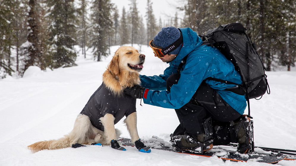 About: The Cloud Chaser™ Dog Jacket Video Thumbnail