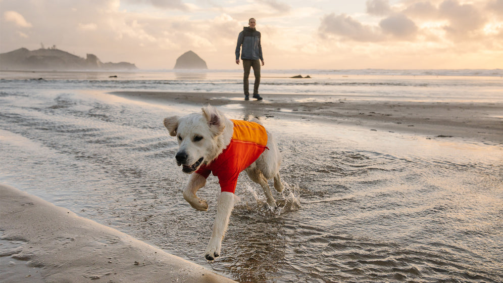 About: The Undercoat™ Water Jacket Video Thumbnail