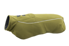 Cedar Green