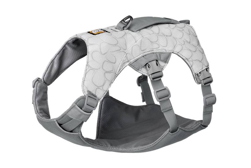 Graphite Gray