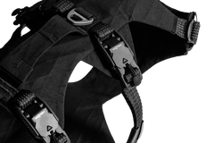 Obsidian Black