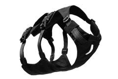 Obsidian Black