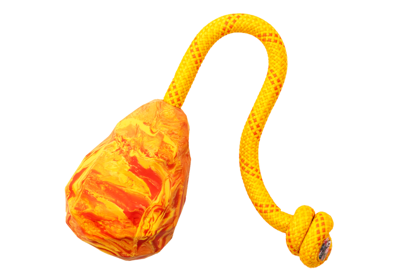 Salamander Orange