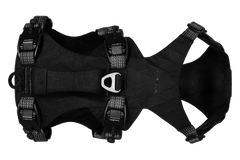 Obsidian Black