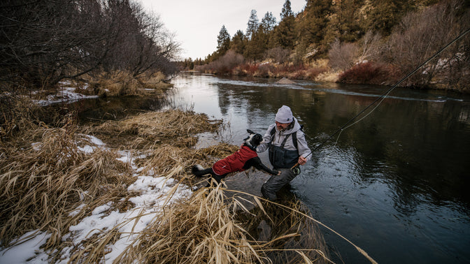 Dog in quinzee jacket jumps on human fisherman as he gets out of river.