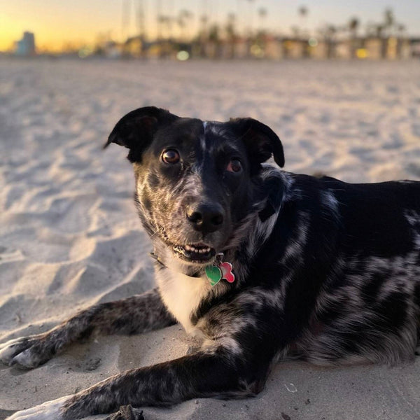 Lola.