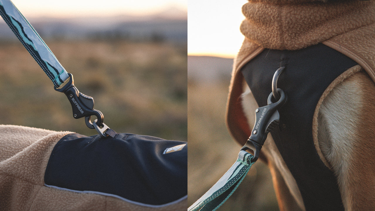 Integrated Harness
