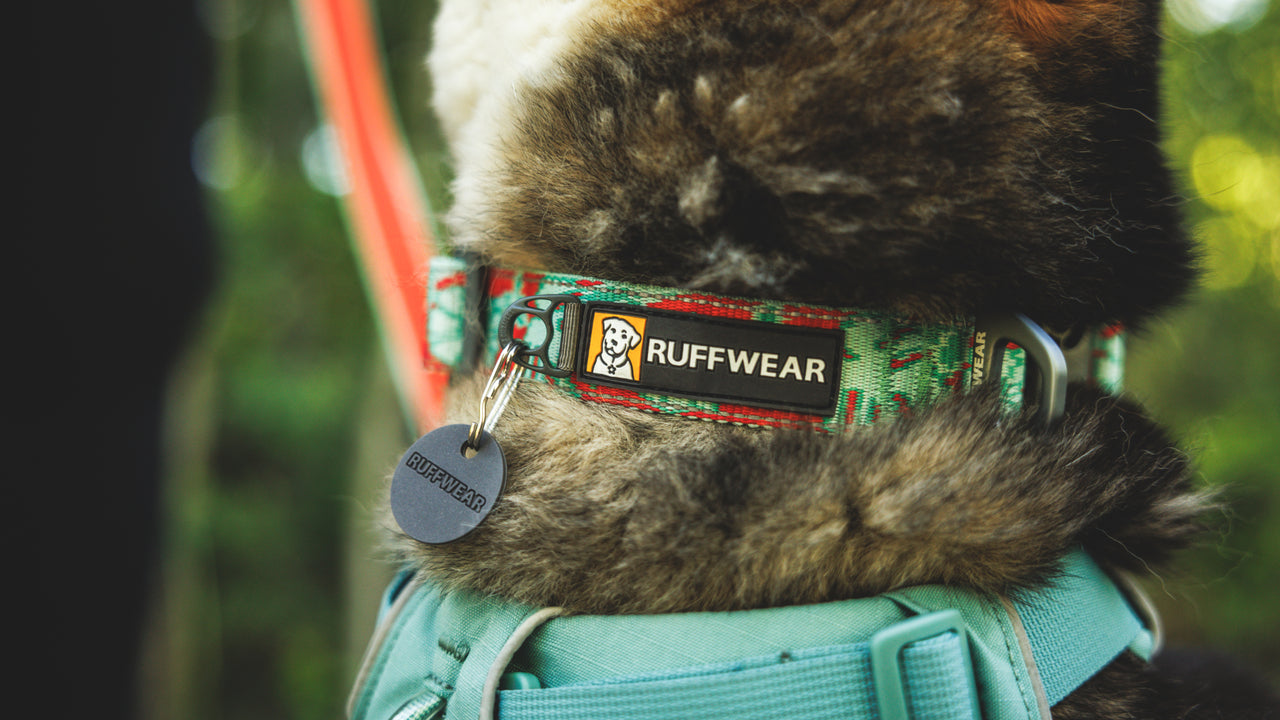 Reflective Webbing 
