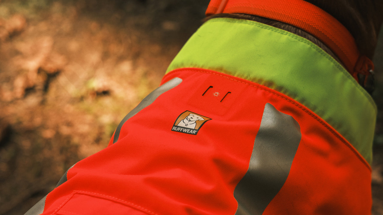 Safety Light Compatibility 