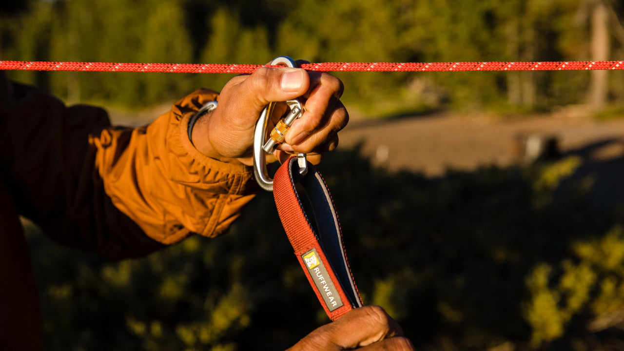 Swiveling Carabiner 