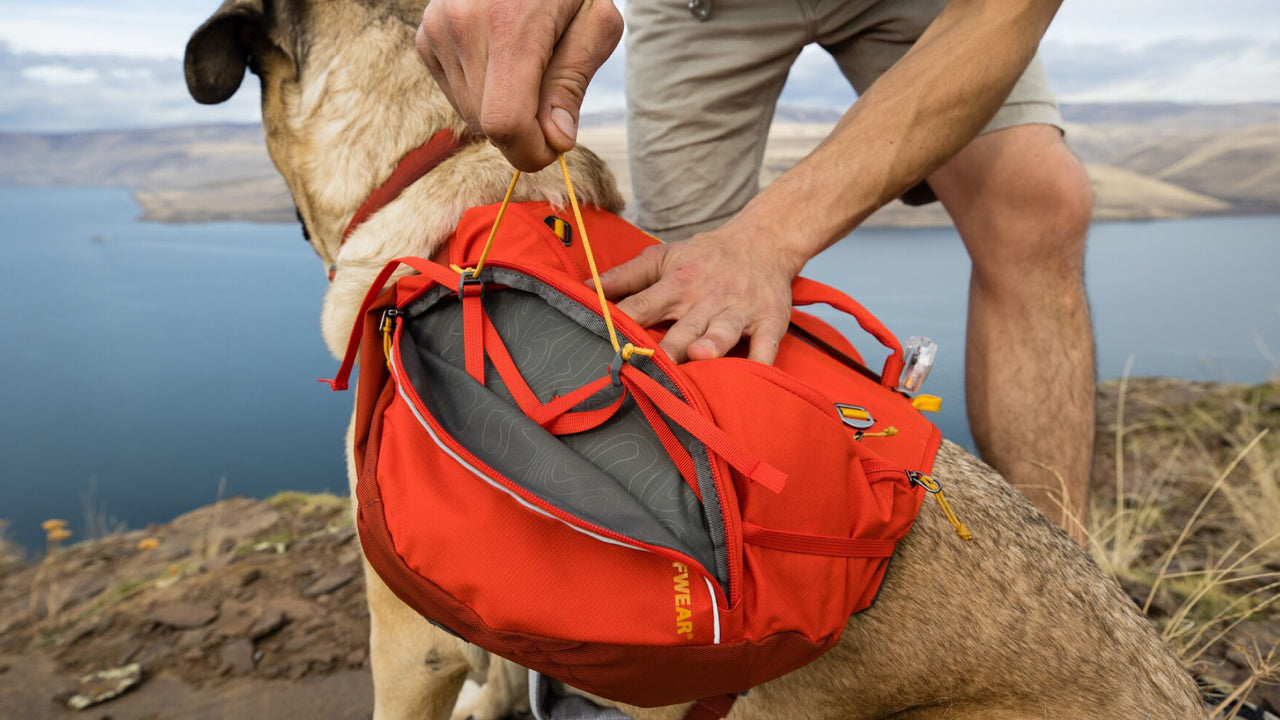 Stable Gear Carry
